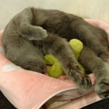 まだ眠いよ〜
