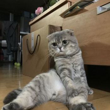 セクシ〜