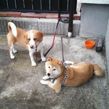 雨宿り