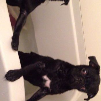 女の子、男の子
夫婦で仲良くお風呂